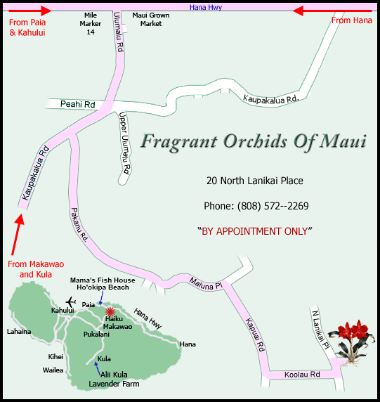 Map to Fragrant Orchid