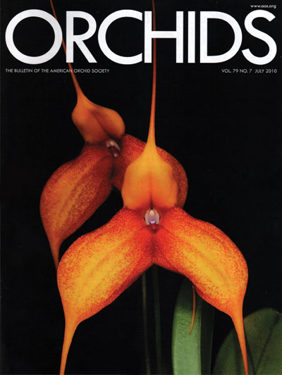 Orchid Magazine July 2010