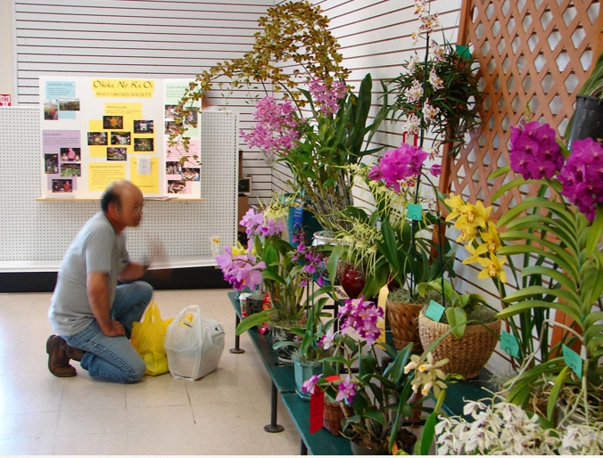 Gentleman looking at the wonderful display.