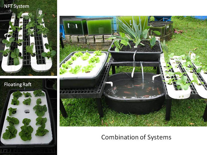 aquaponics-systems