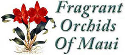 fragrantorchidslogo