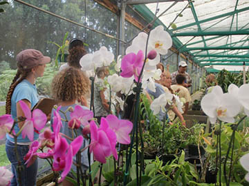 roots-maui-greenhouse