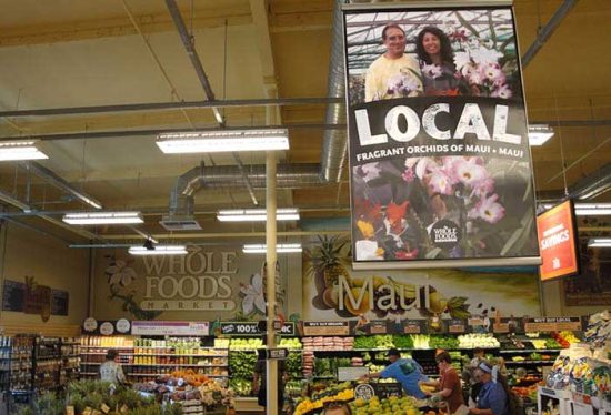 Whole Foods Poster